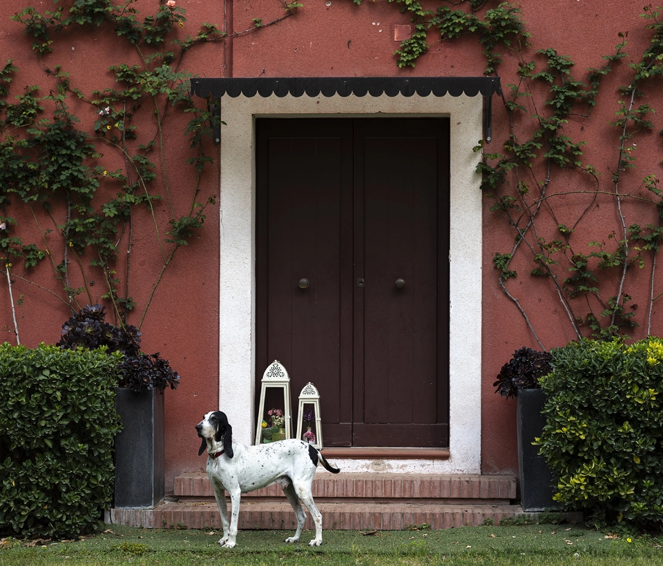 Tenuta Porta di Ferro — foto 5