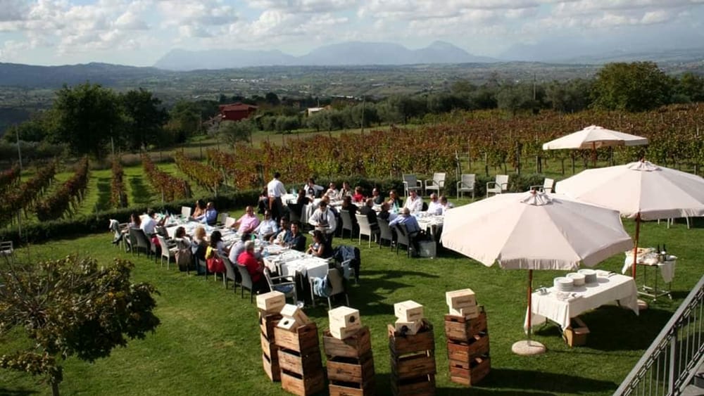 Radici Resort (Mastroberardino) — foto 5